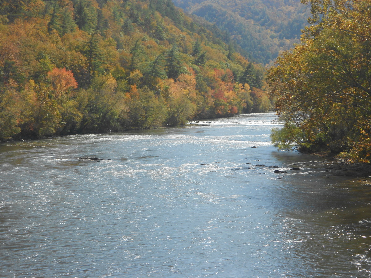 Things to Do In Hot Springs, North Carolina WanderWisdom