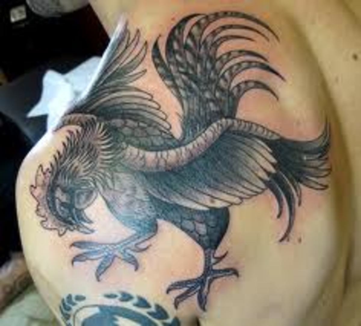 Rooster Tattoos And DesignsRooster Tattoo Meanings And