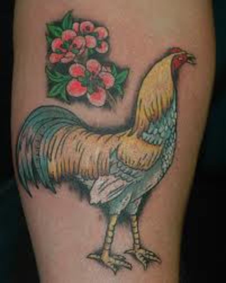 Rooster Tattoos And DesignsRooster Tattoo Meanings And
