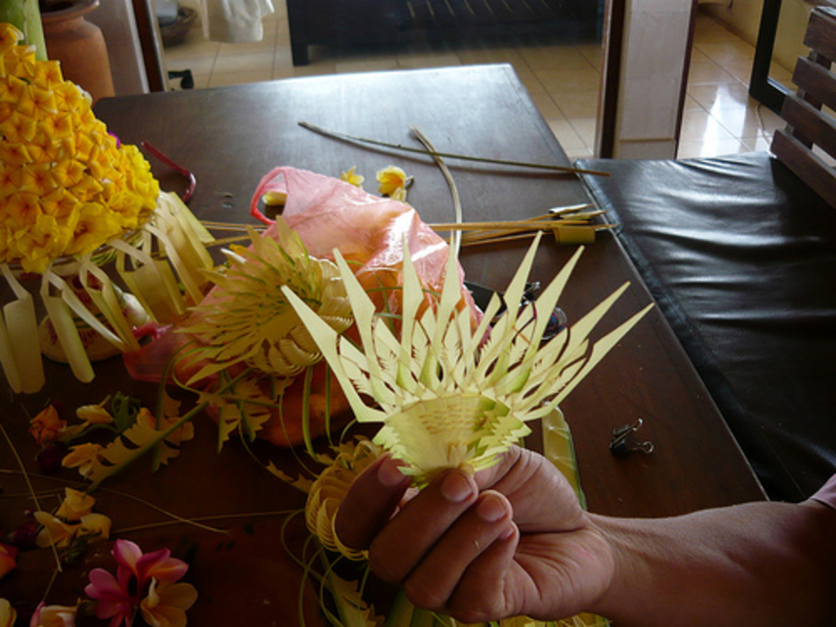 What To Do With Coconut Leaves? Creations Made From Coco Leaf HubPages