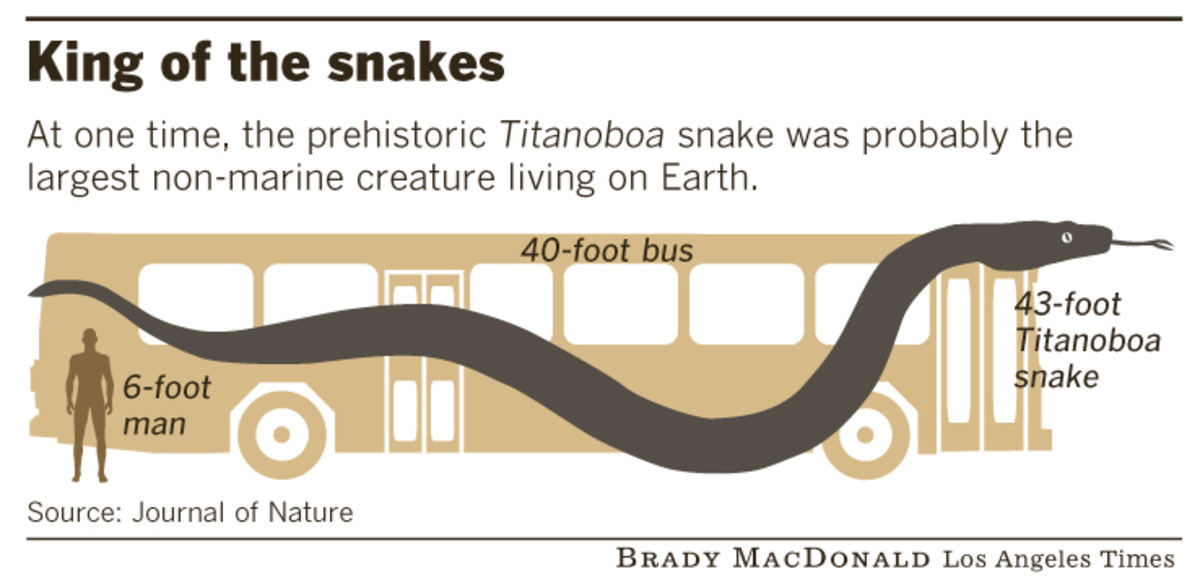 Columbia South America Map Titanoboa Largest Animals Through the Ages HubPages