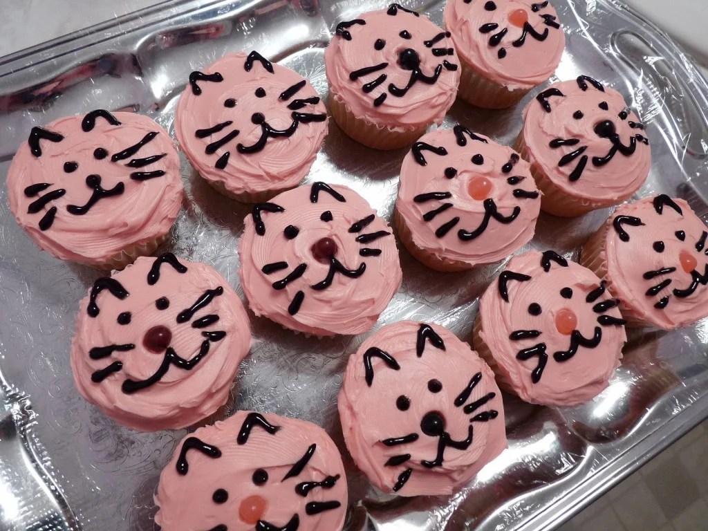 Cat Face Cupcakes HubPages