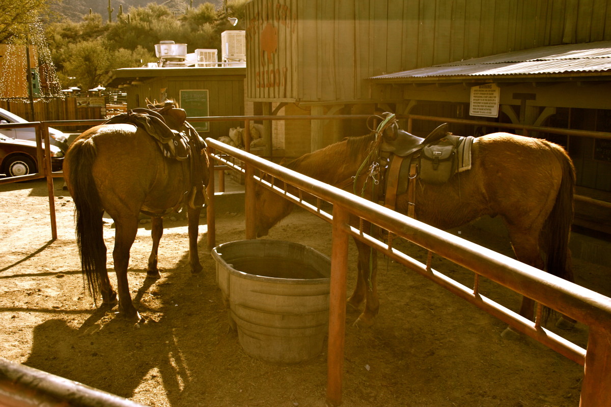 Ten Things to Love About Cave Creek, Arizona HubPages