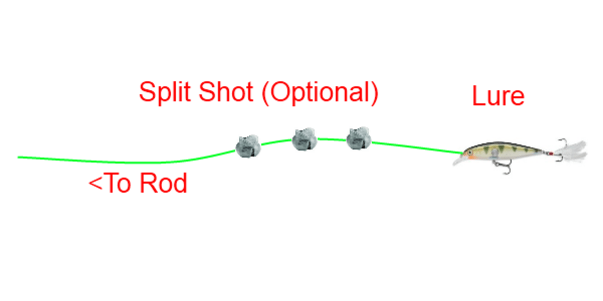 A Complete Guide to Fishing for Trout SkyAboveUs