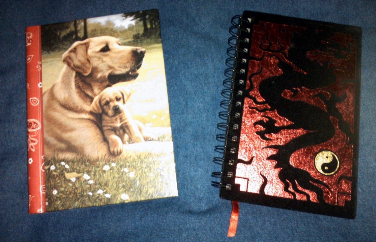 How to Hide a Diary From Siblings WeHaveKids