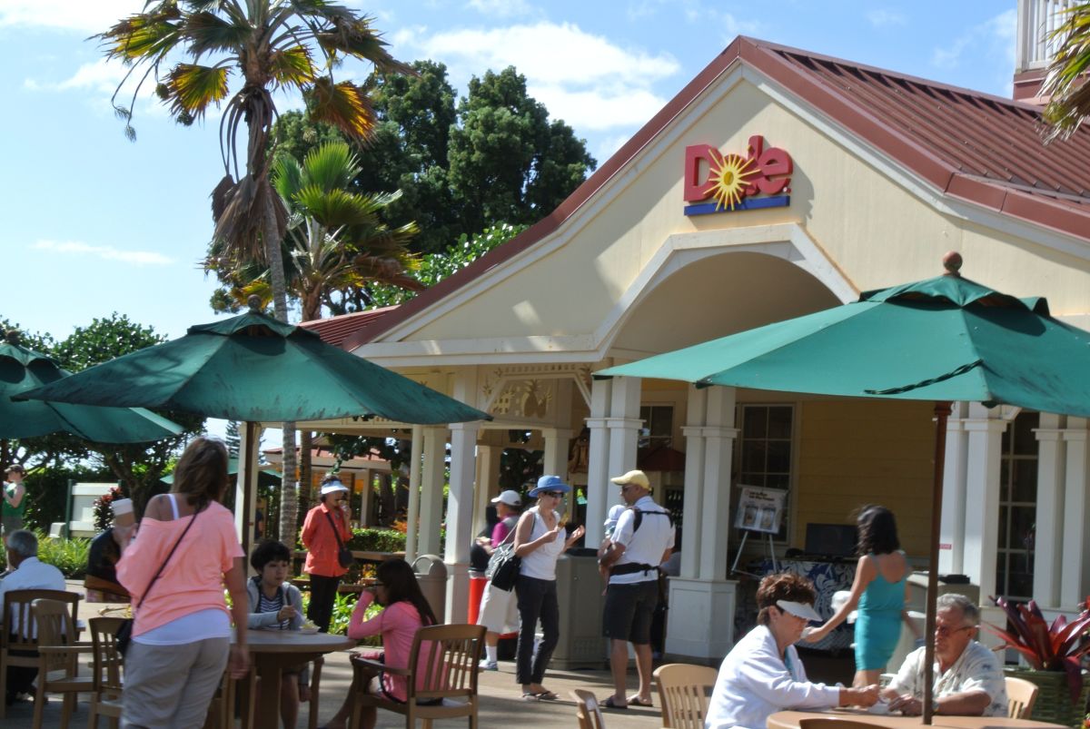 Dole Pineapple Plantation Things to Do on Oahu, Hawaii WanderWisdom