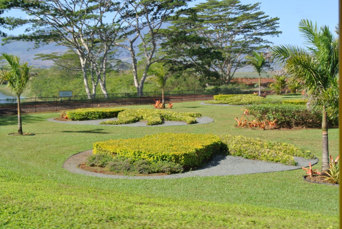 Dole Pineapple Plantation Things to Do on Oahu, Hawaii WanderWisdom