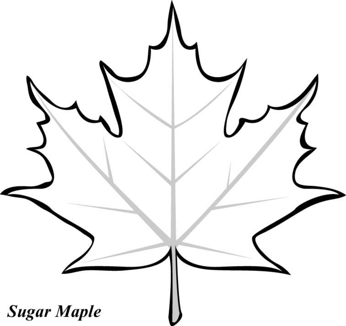 Leaves coloring pages 90 Free coloring pages for Kids