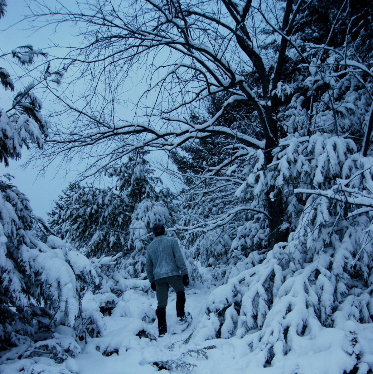 Snowshoes, Snowshoeing, Winter Exercise and Calorie Burn SkyAboveUs