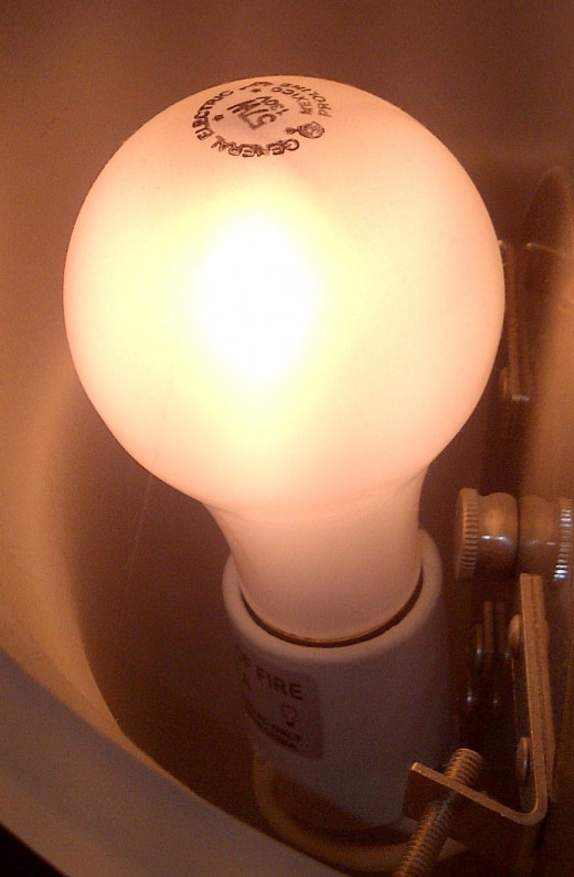 Incandescent Light Bulb Ban! HubPages