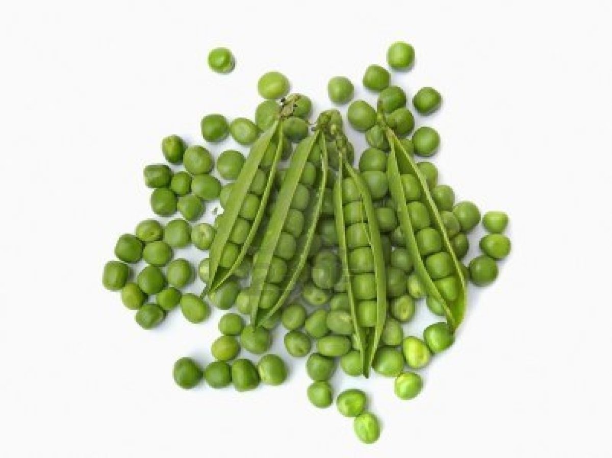 Gardening 101 , Snap Peas, How To Grow Them, And How To Enjoy Them