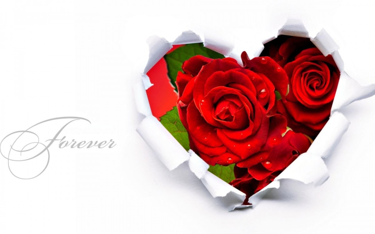 Ten Different Flowers to Give to your Loved One On Valentines Day