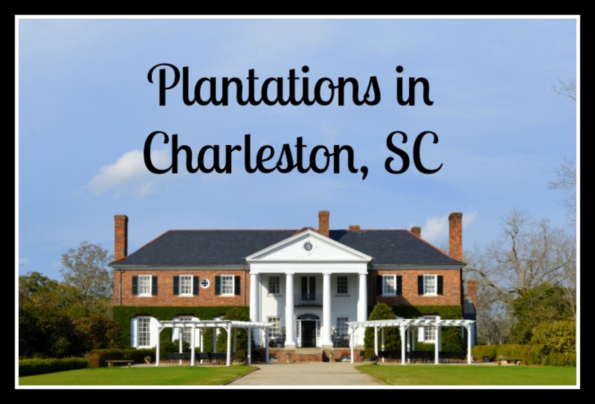 Best Plantations to Visit in the Charleston, SC Area WanderWisdom