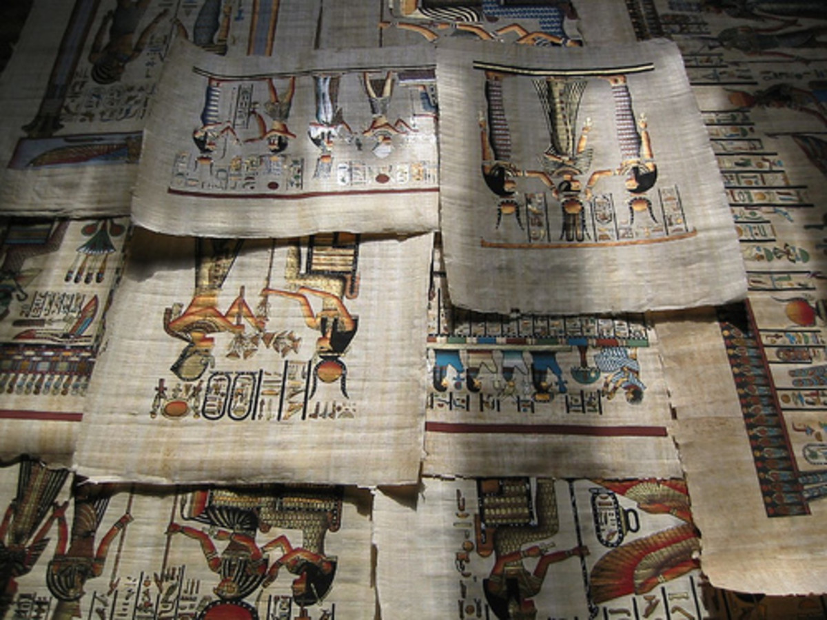 The Story of Paper Owlcation