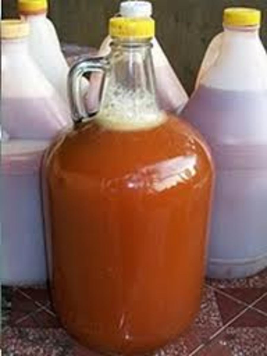 Countless uses of coconut hubpages