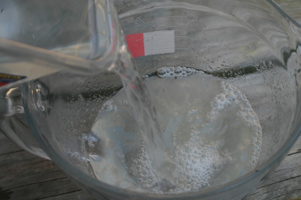 Knox Gelatin Fertilizer for Houseplants Dengarden