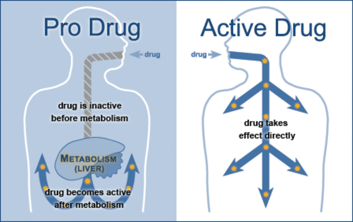 Pharmacological Effects, Prodrugs (Definition, Examples) and Sources of