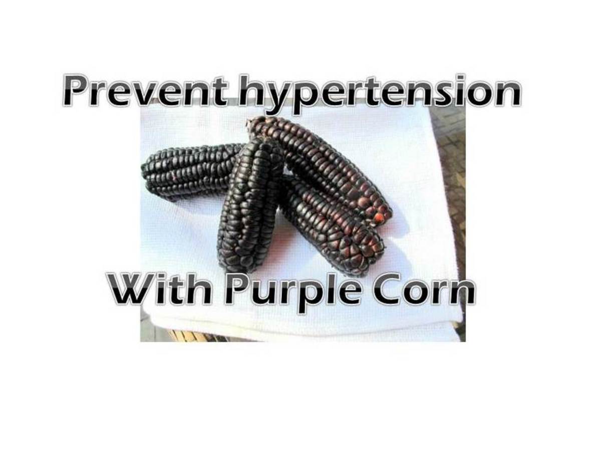Purple Corn or Maiz Morado Health Benefits HubPages