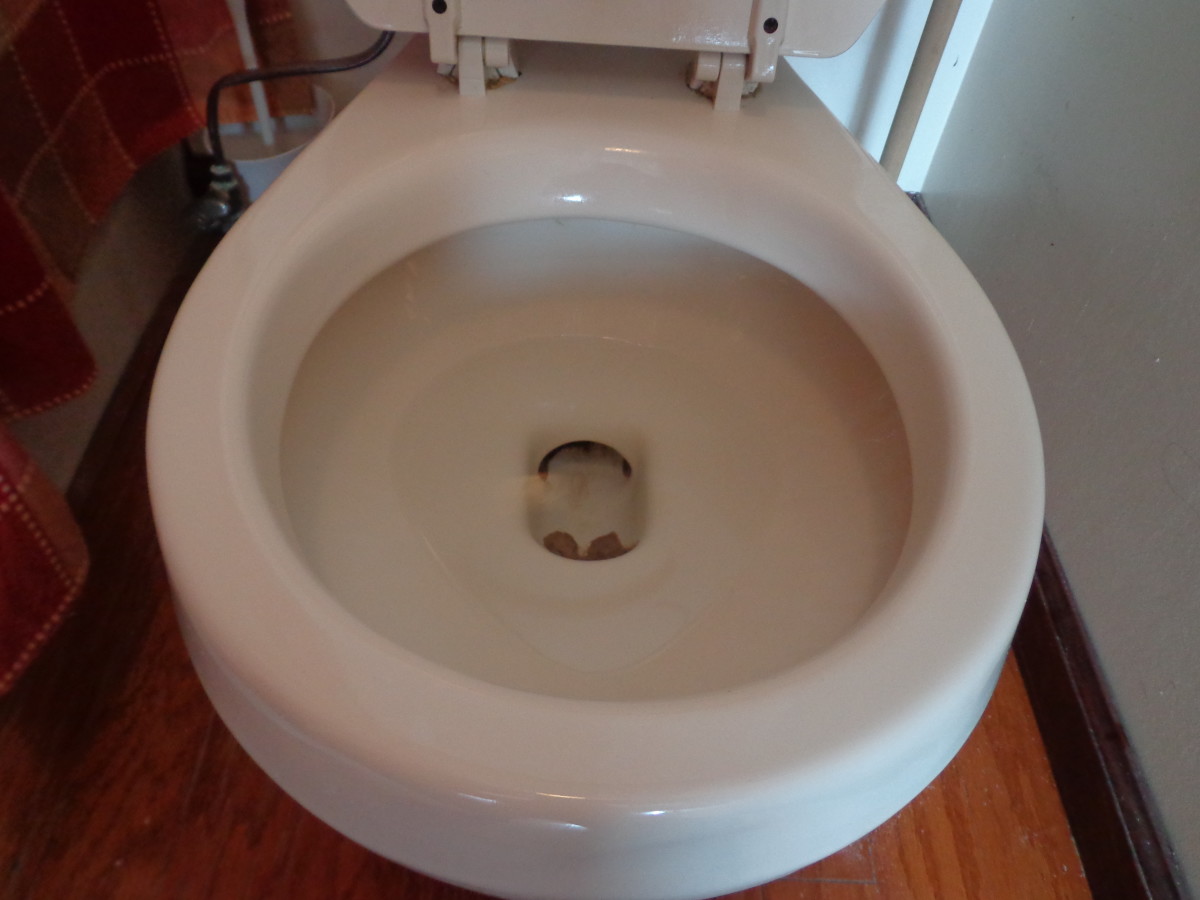 Homemade Toilet Bowl Cleaner | Dengarden