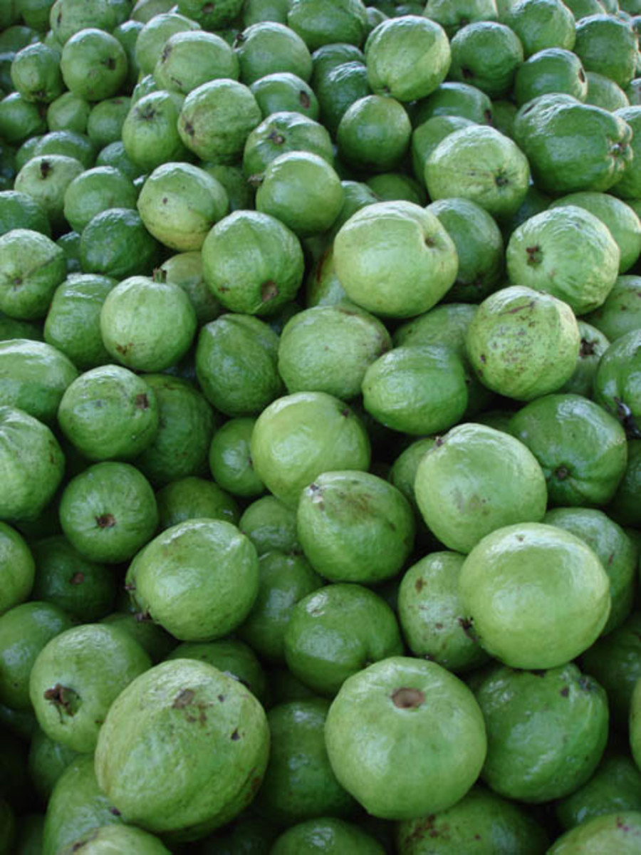 Popular Foods in Costa Rica HubPages