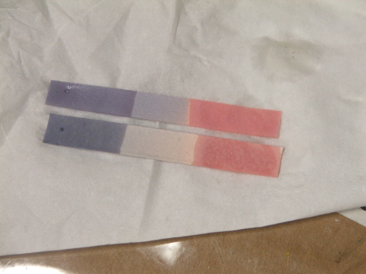 How to Make Your Own Neutral Litmus Paper Owlcation