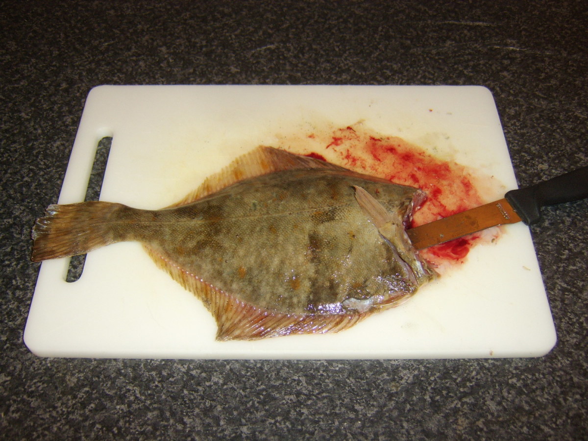 How to Cook Flounder (With Recipes) Delishably