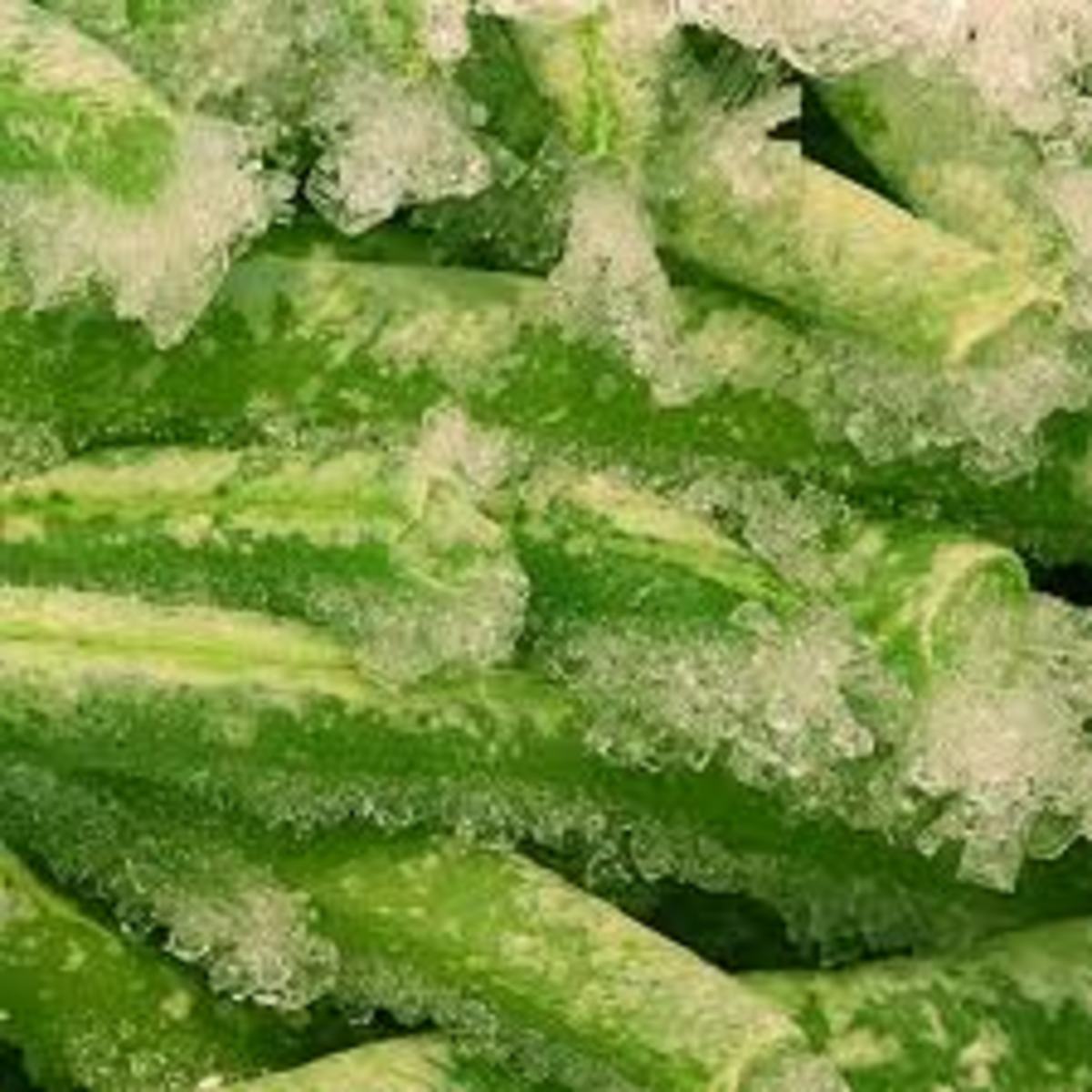 Freezer Burn Is it Safe to Eat? HubPages