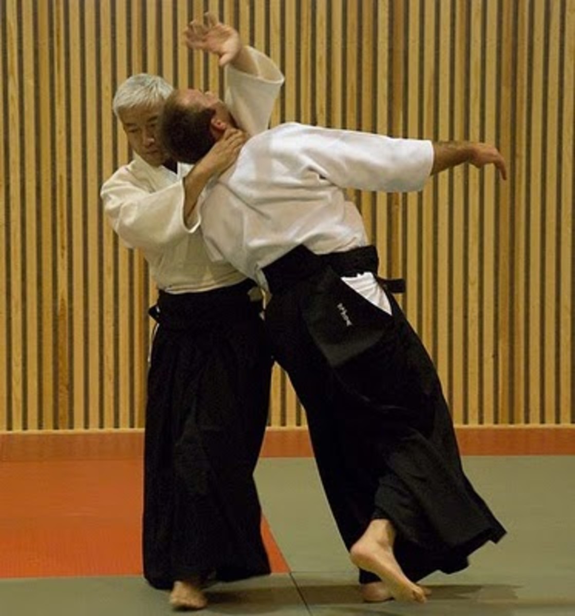 Irimi Nage in Aikido “Entering Throw”
