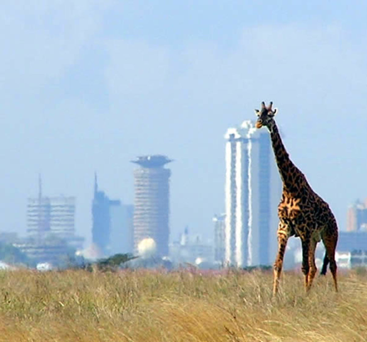Top 10 best places to visit in Nairobi, Kenya HubPages