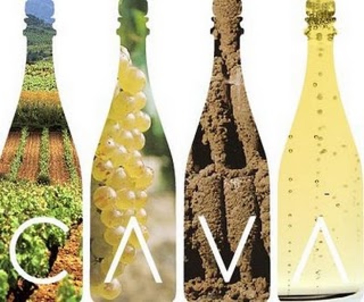 Spanish Cavas Spain's sparkling wines