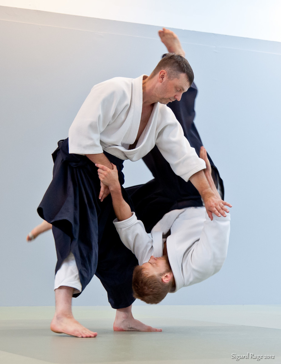Tenchi Nage in Aikido "Heaven and Earth Throw" hubpages