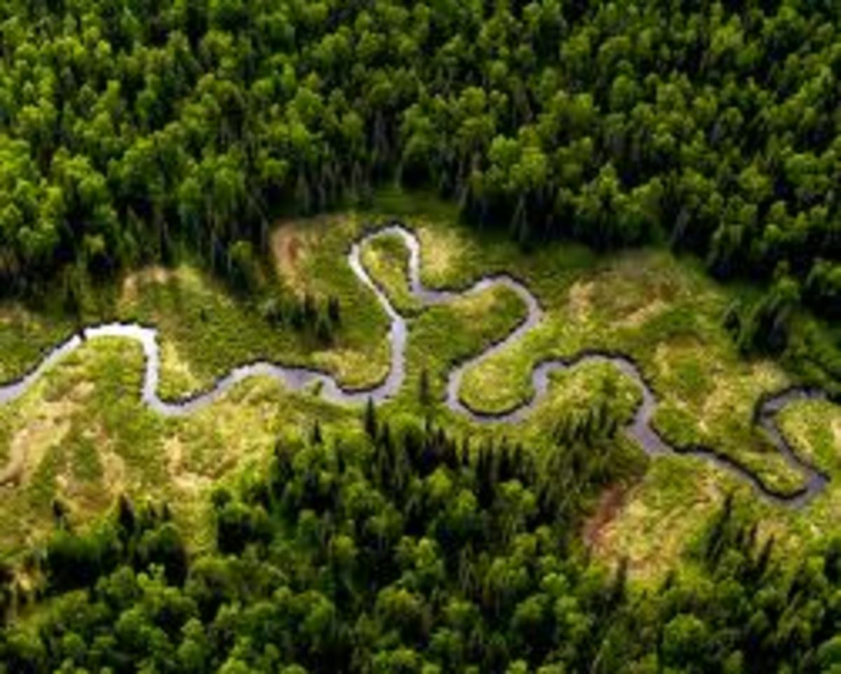 Water Dream MeaningsDreams About WaterWater Dream Interpretations