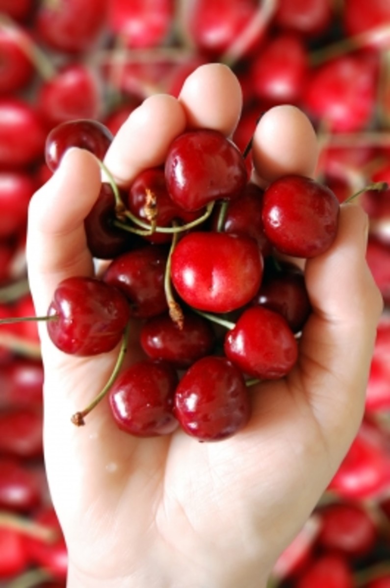 Homemade Cherry Face Mask Recipes HubPages
