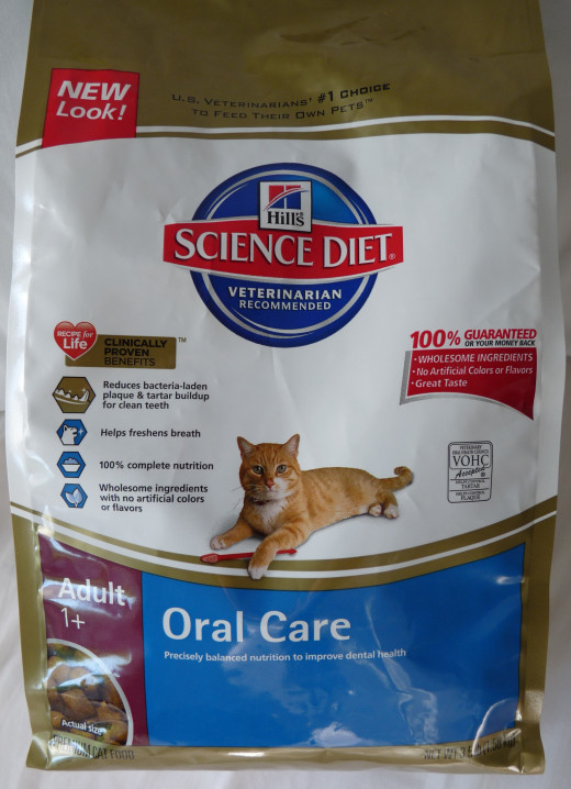 Cat Dental Care Products hubpages