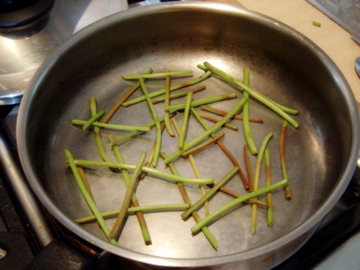 Stuffed Grapevine Leaves Turkish Dolma Recipe HubPages