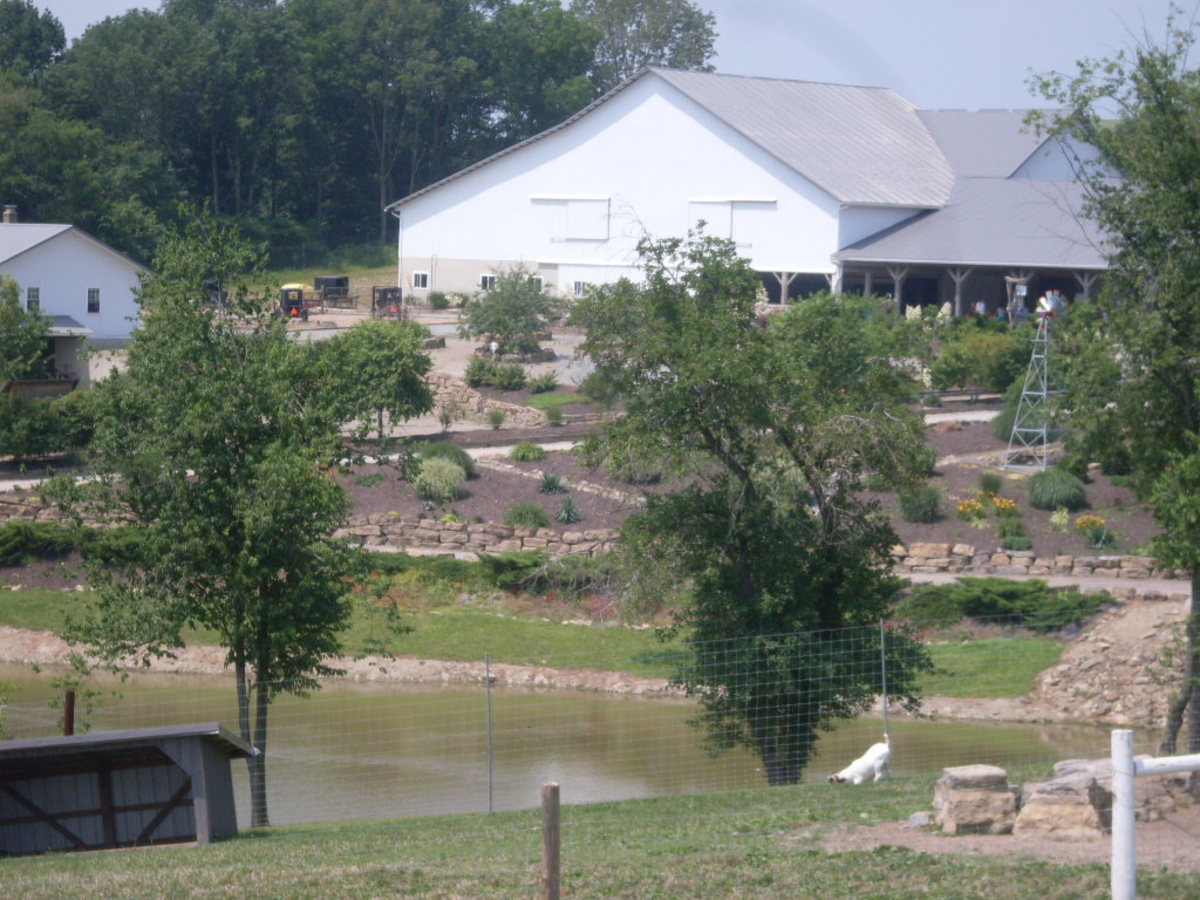 What's a great family fun spot in Ohio ? Walnut Creek Farm ! HubPages