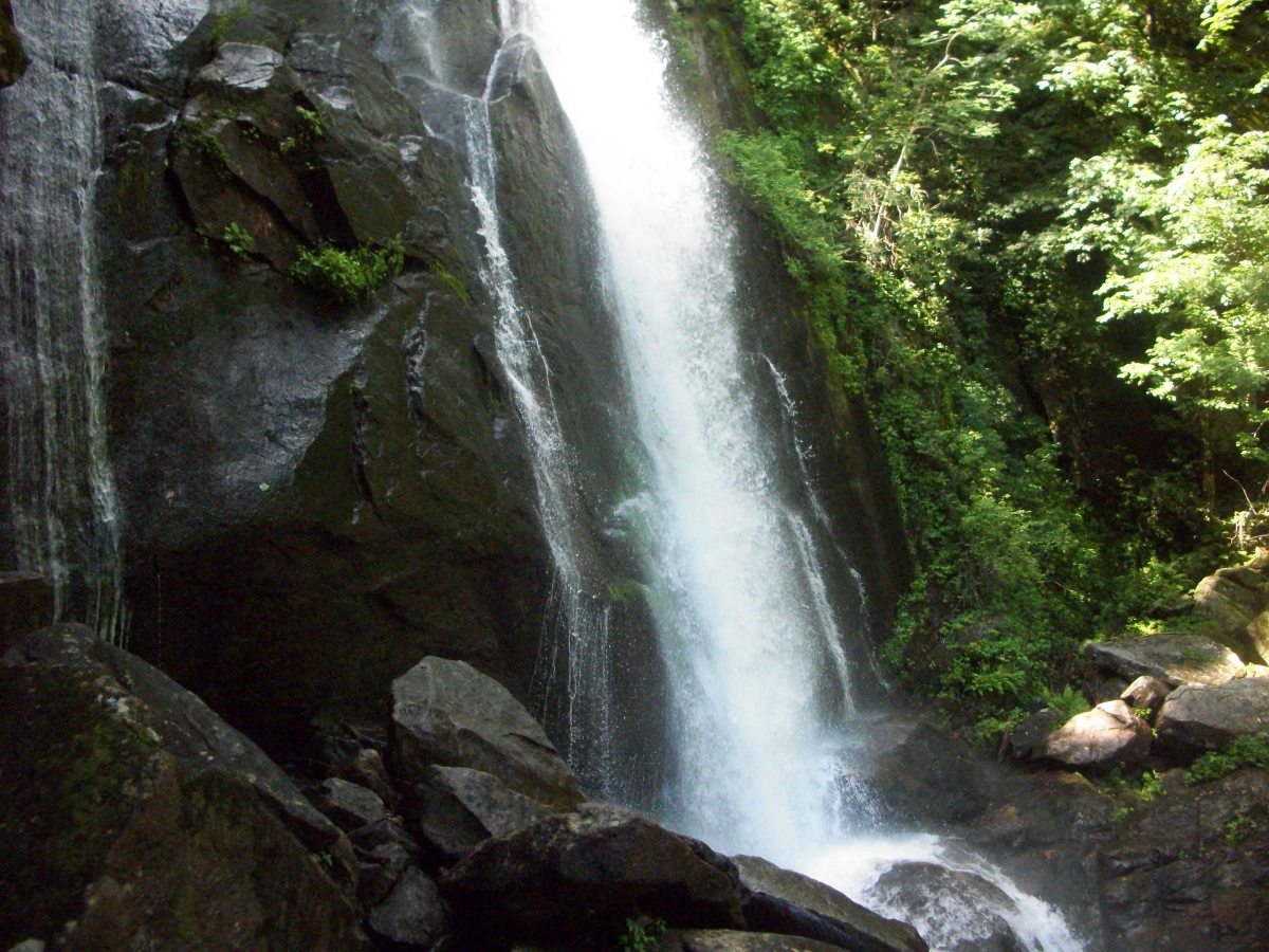 South Mountains State Park Connelly Springs, NC HubPages