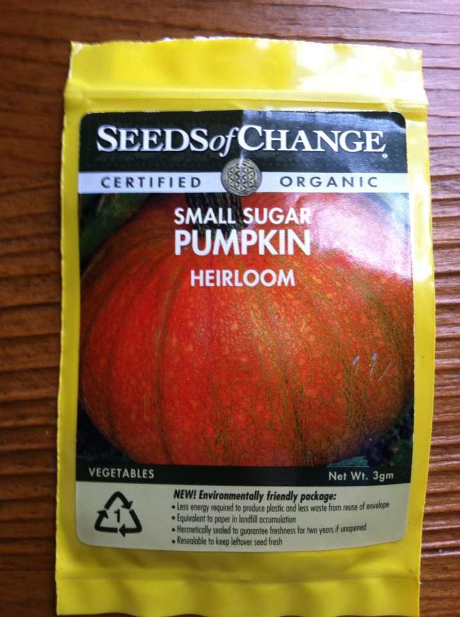 How to Grow Organic Pumpkins HubPages