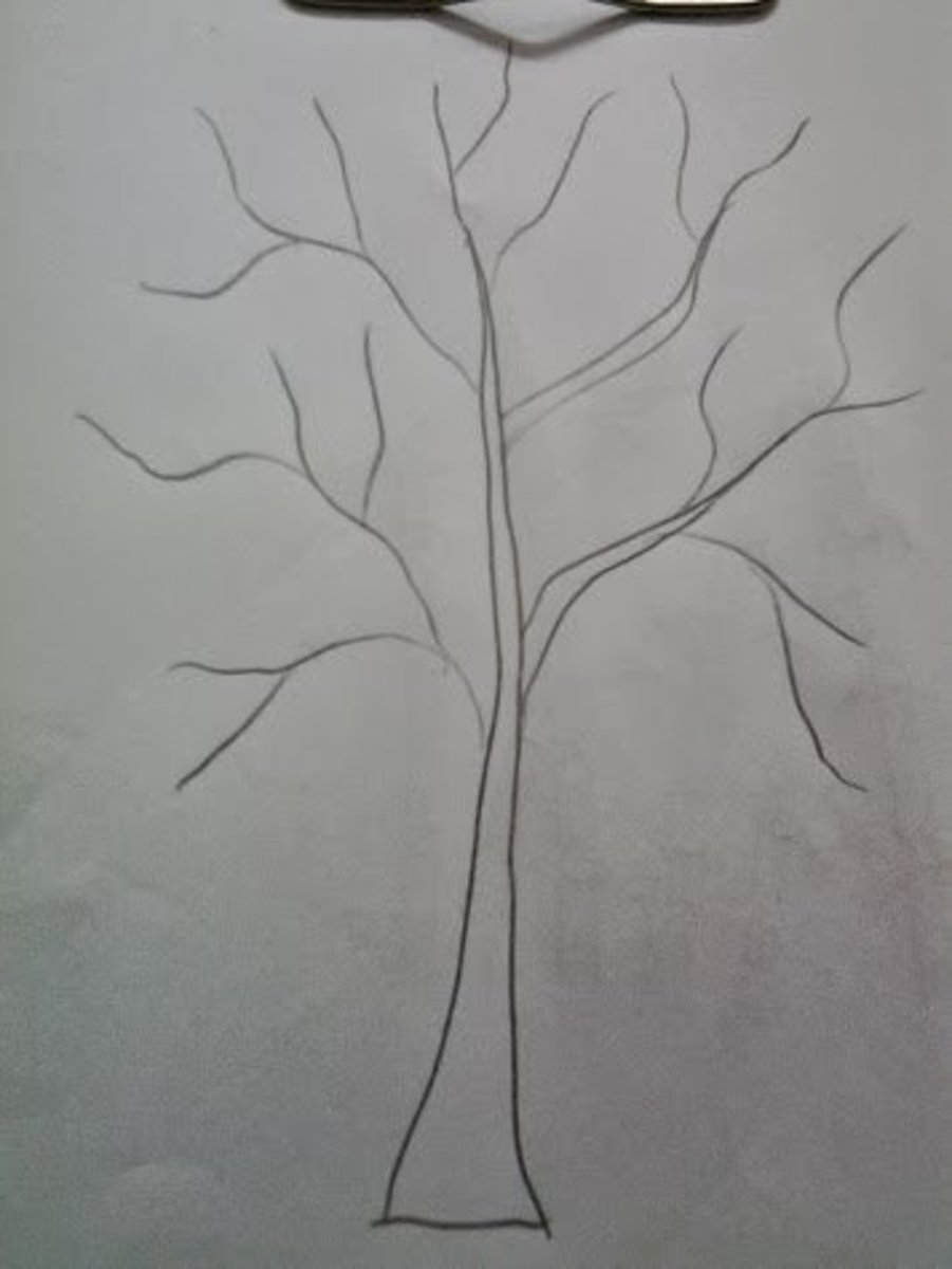 20 How to draw trees instructions for kids Step by step