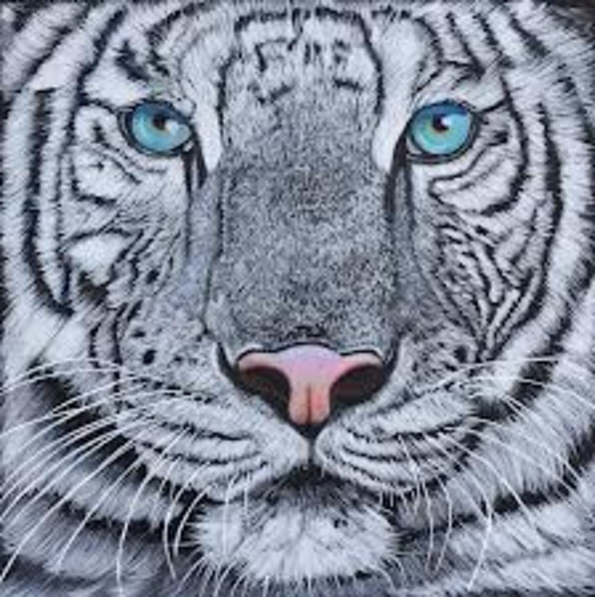 White Tiger Tattoo DesignsWhite Tiger Tattoo IdeasWhite