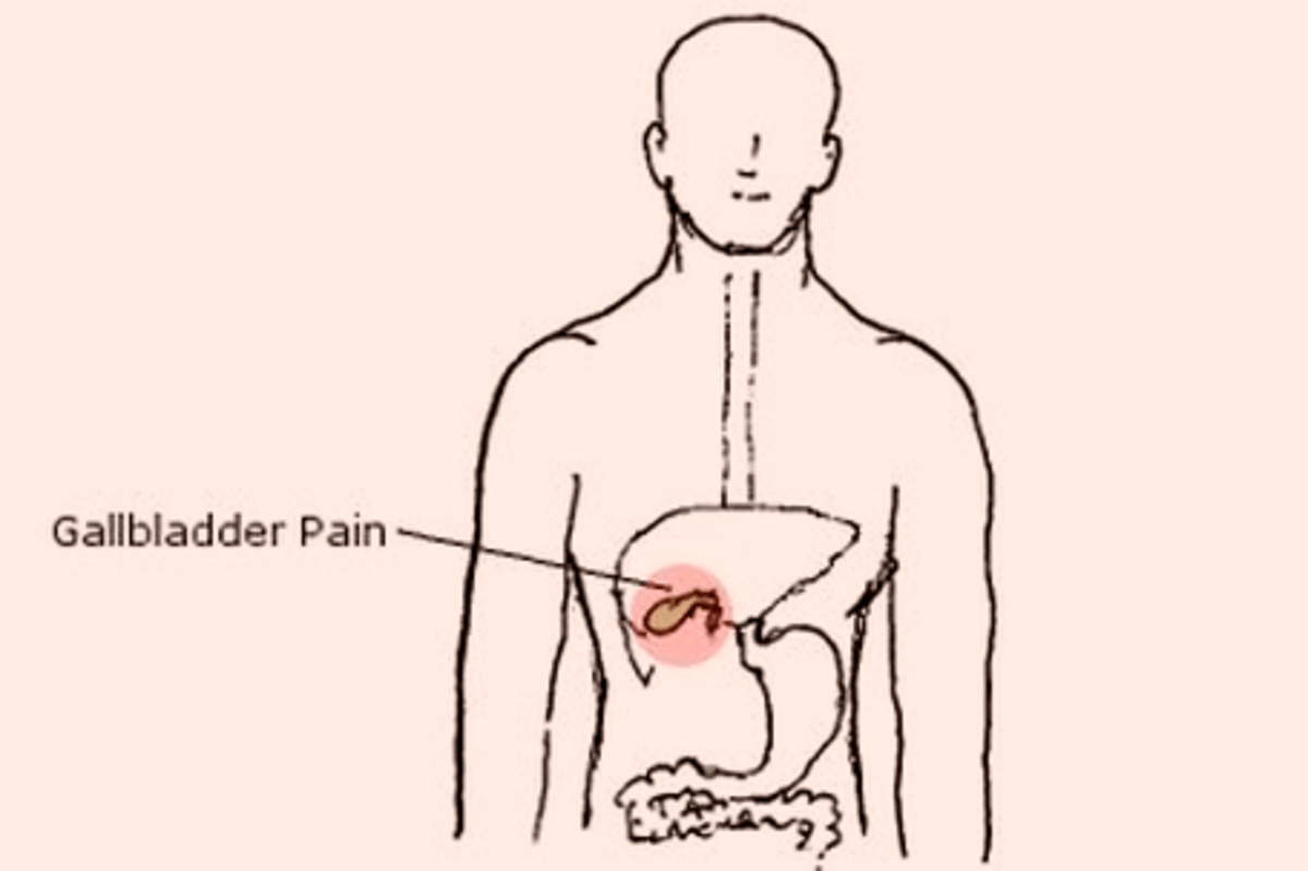 Liver Pain Location, Causes and Treatment hubpages