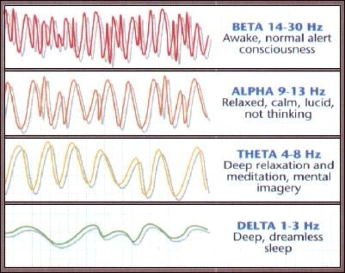 What are Brain Waves (Theta, Delta, Alpha, Beta brain waves)? What is