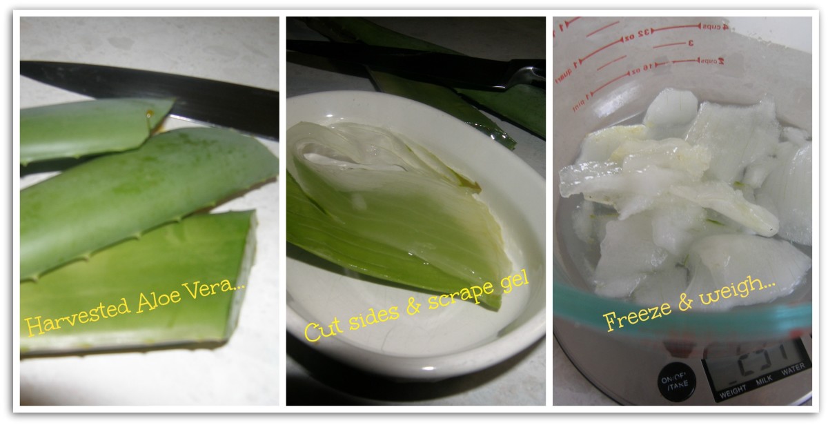 Shampoo Bar Tutorial Fresh Aloe Vera & Apple Cider Vinegar HubPages