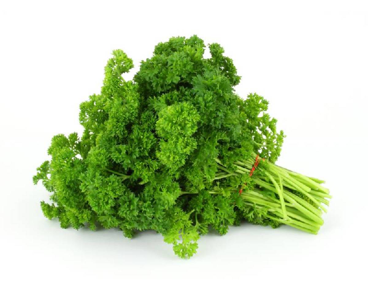 10 Health Benefits of Parsley CalorieBee
