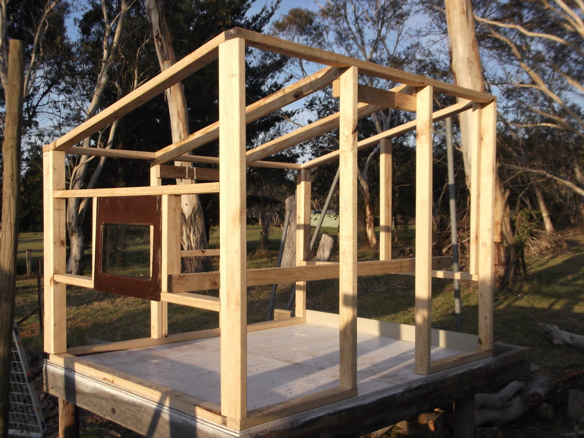 How to House Chickens in Your Backyard PetHelpful