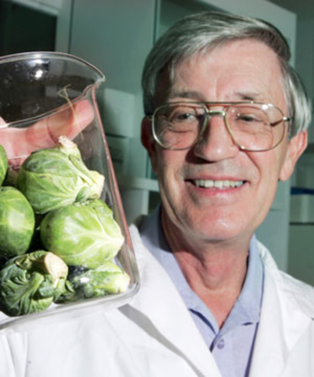 BRUSSEL SPROUTS KILL CANCER HubPages