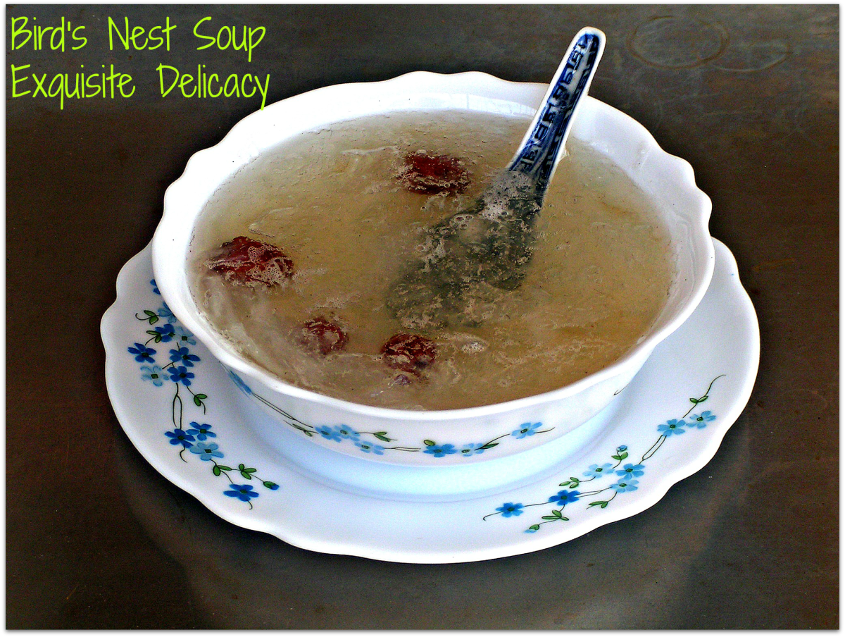 Bird’s Nest Soup An Expensive And Exquisite Delicacy HubPages