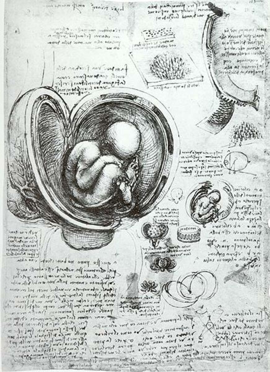 Interesting Facts about Leonardo Da Vinci's Journals Owlcation