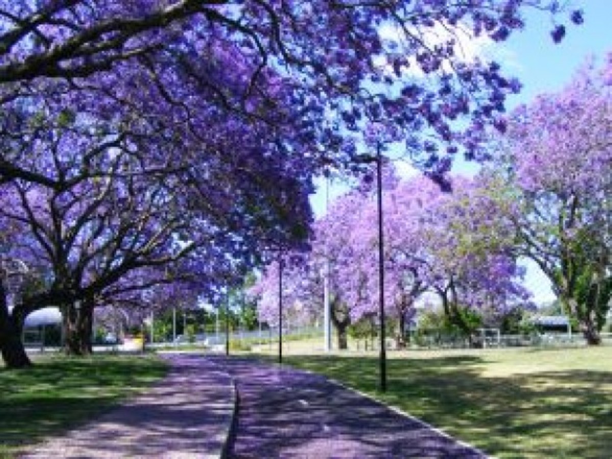 SPRING PICTURES 200 Best Pictures, Free Images and Big Photos HubPages