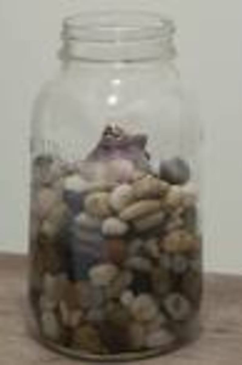 How to Grow Tulips and Other Perennials in Glass Jars in Your Home All